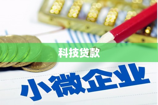 安龙科技贷款