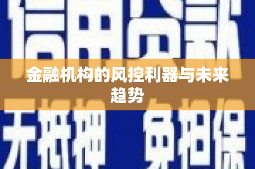 安龙金融机构的风控利器与未来趋势