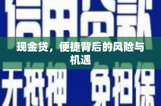 安龙现金贷，便捷背后的风险与机遇