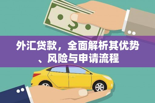 安龙外汇贷款，全面解析其优势、风险与申请流程