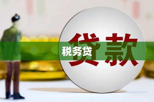 安龙税务贷