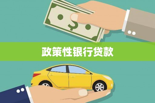 安龙政策性银行贷款