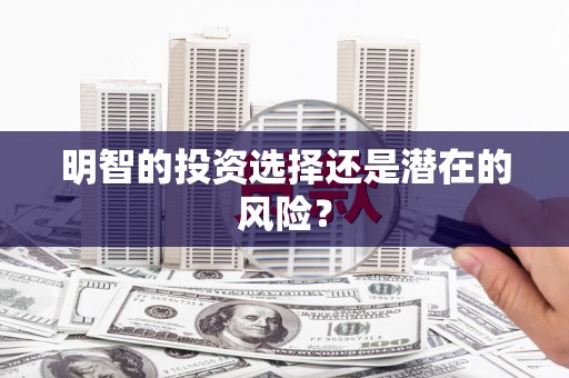 安龙明智的投资选择还是潜在的风险？