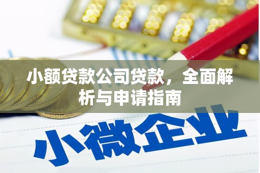安龙小额贷款公司贷款，全面解析与申请指南