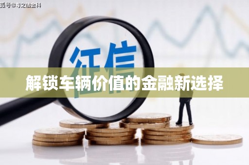 安龙解锁车辆价值的金融新选择