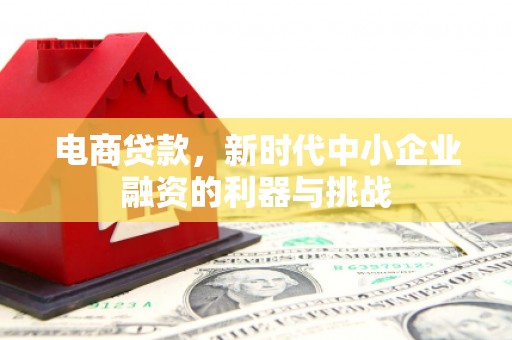 安龙电商贷款，新时代中小企业融资的利器与挑战