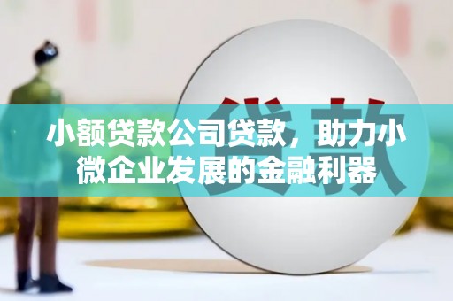 安龙小额贷款公司贷款，助力小微企业发展的金融利器