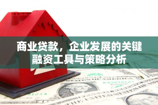 安龙商业贷款，企业发展的关键融资工具与策略分析