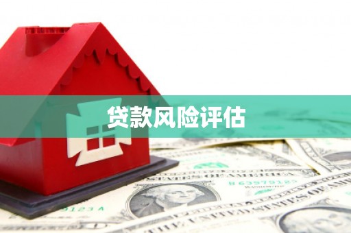 安龙贷款风险评估