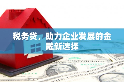 安龙税务贷，助力企业发展的金融新选择