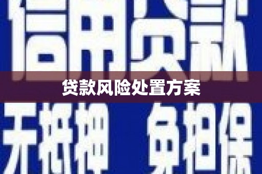 安龙贷款风险处置方案