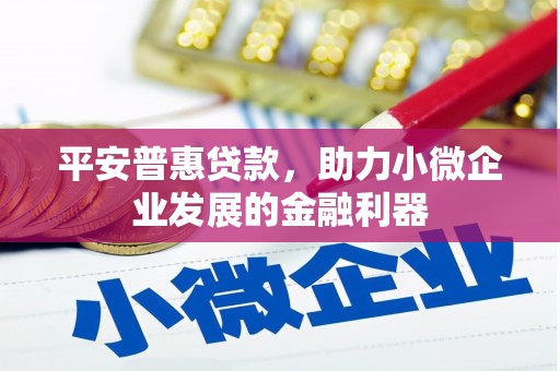 安龙平安普惠贷款，助力小微企业发展的金融利器
