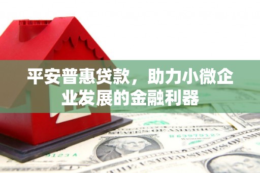 安龙平安普惠贷款，助力小微企业发展的金融利器