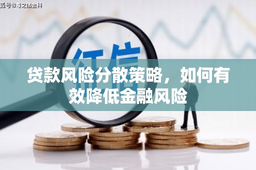 安龙贷款风险分散策略，如何有效降低金融风险