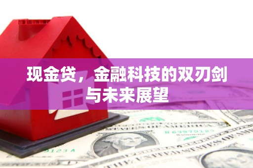 安龙现金贷，金融科技的双刃剑与未来展望