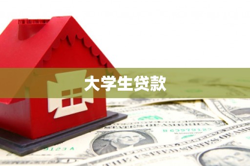 安龙大学生贷款
