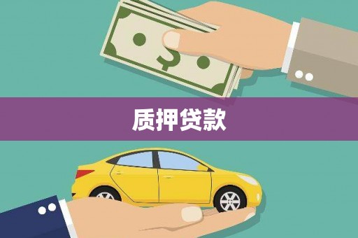 安龙质押贷款