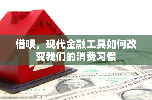 安龙借呗，现代金融工具如何改变我们的消费习惯