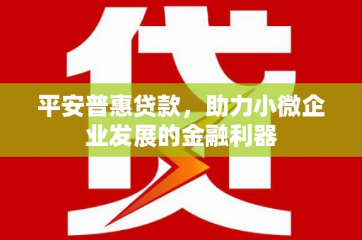 安龙平安普惠贷款，助力小微企业发展的金融利器