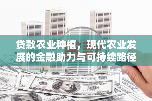 安龙贷款农业种植，现代农业发展的金融助力与可持续路径