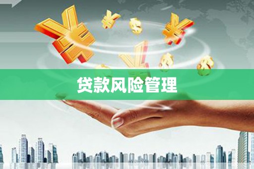 安龙贷款风险管理