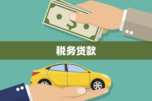 安龙税务贷款