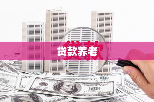 安龙贷款养老