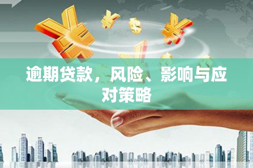 安龙逾期贷款，风险、影响与应对策略
