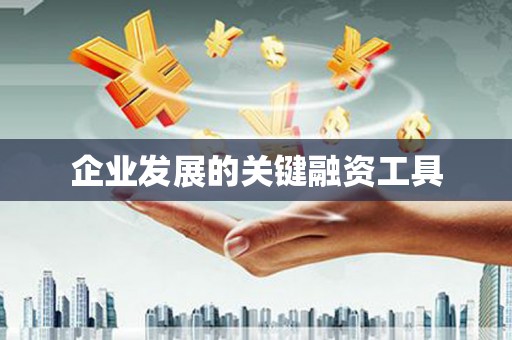 安龙企业发展的关键融资工具