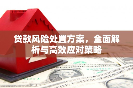 安龙贷款风险处置方案，全面解析与高效应对策略