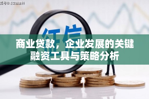 安龙商业贷款，企业发展的关键融资工具与策略分析