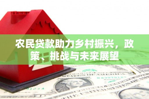 安龙农民贷款助力乡村振兴，政策、挑战与未来展望