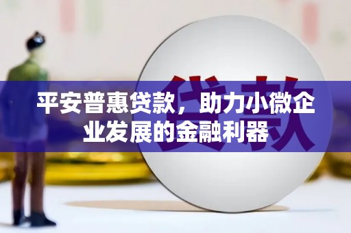 安龙平安普惠贷款，助力小微企业发展的金融利器