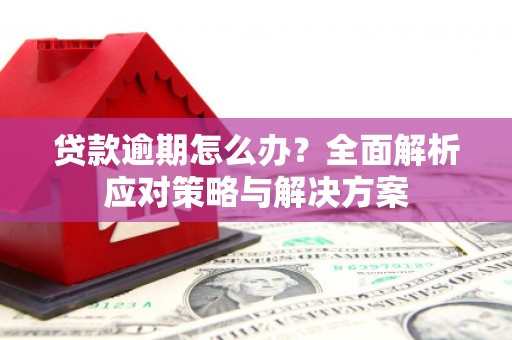 安龙贷款逾期怎么办？全面解析应对策略与解决方案