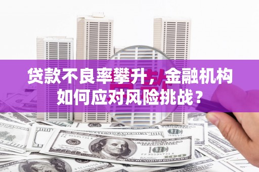 安龙贷款不良率攀升，金融机构如何应对风险挑战？