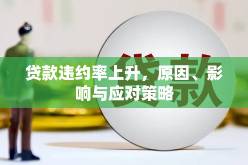 安龙贷款违约率上升，原因、影响与应对策略