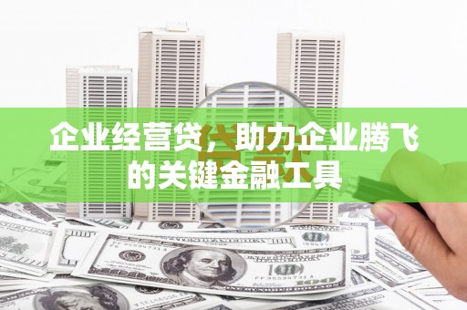 安龙企业经营贷，助力企业腾飞的关键金融工具