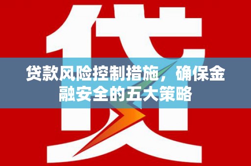 安龙贷款风险控制措施，确保金融安全的五大策略