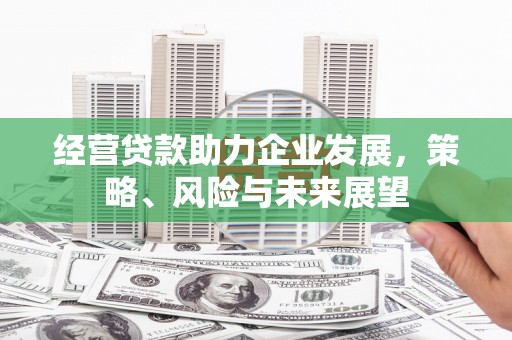 安龙经营贷款助力企业发展，策略、风险与未来展望