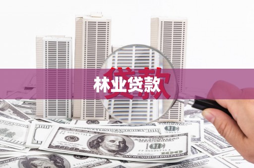 安龙林业贷款