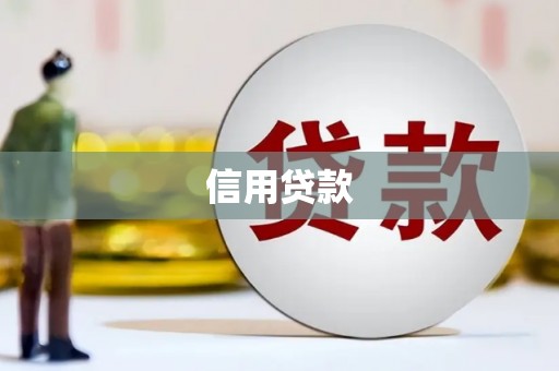 安龙信用贷款