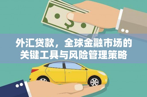 安龙外汇贷款，全球金融市场的关键工具与风险管理策略