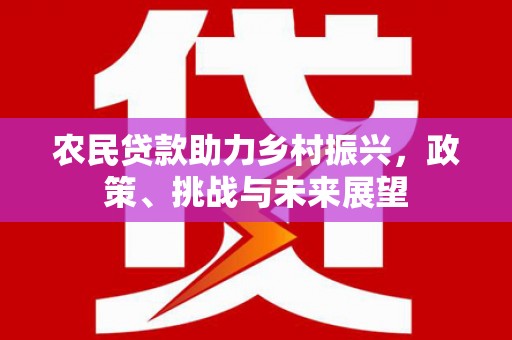 安龙农民贷款助力乡村振兴，政策、挑战与未来展望