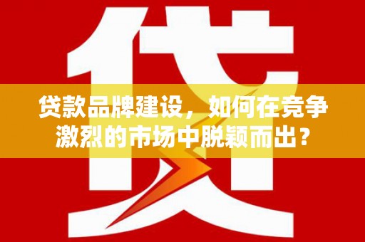 安龙贷款品牌建设，如何在竞争激烈的市场中脱颖而出？