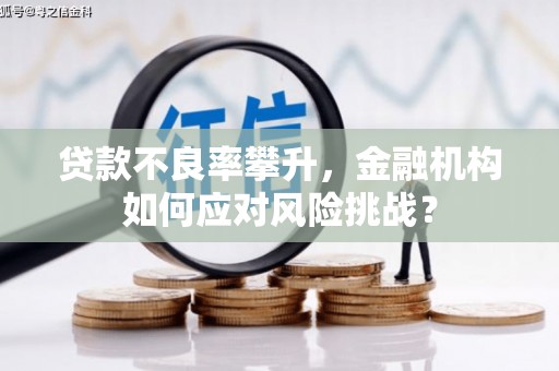 安龙贷款不良率攀升，金融机构如何应对风险挑战？