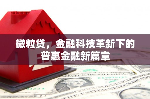 安龙微粒贷，金融科技革新下的普惠金融新篇章