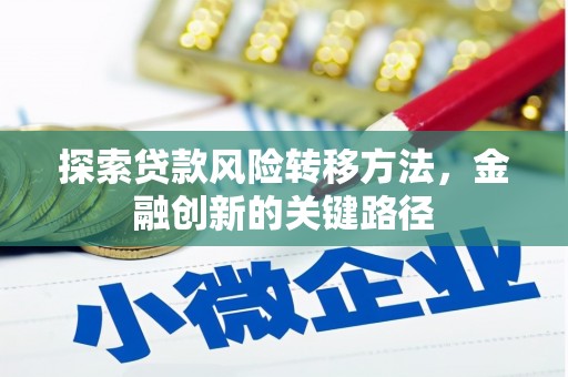 安龙探索贷款风险转移方法，金融创新的关键路径