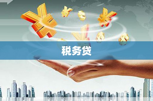 安龙税务贷