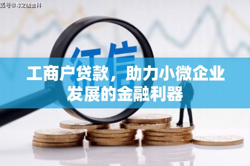 安龙工商户贷款，助力小微企业发展的金融利器