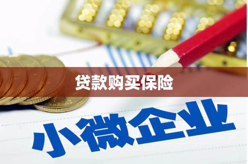 安龙贷款购买保险